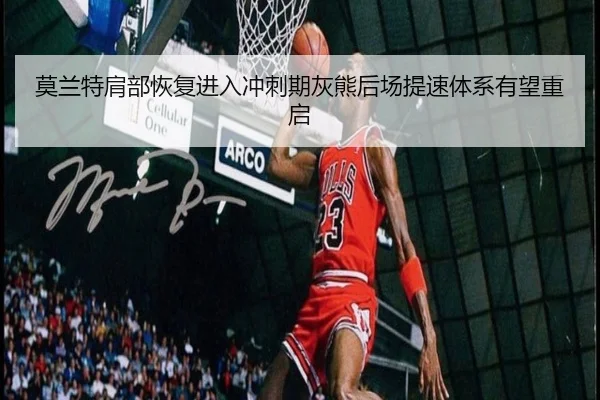 img_1781224247470_330_1_740.jpg