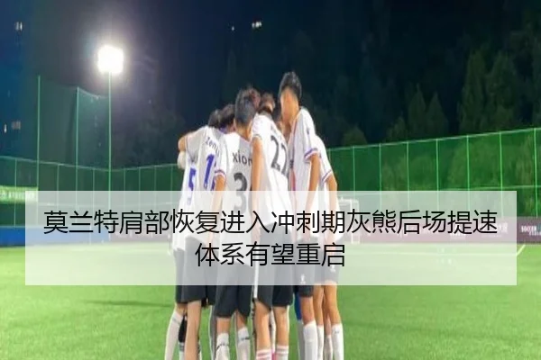 莫兰特肩部恢复进入冲刺期灰熊后场提速体系有望重启